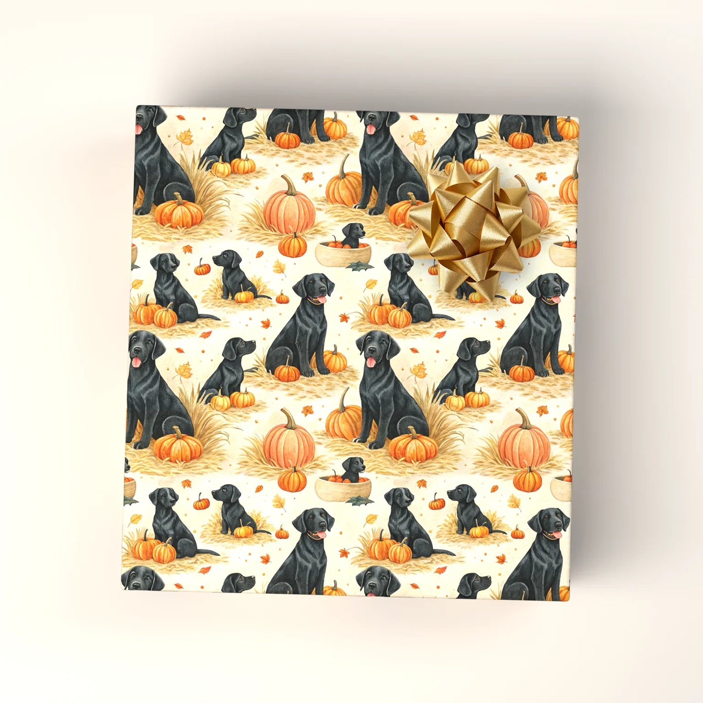 Black Lab Pumpkin Patch Fall Wrapping Paper — wrapped gift presentation