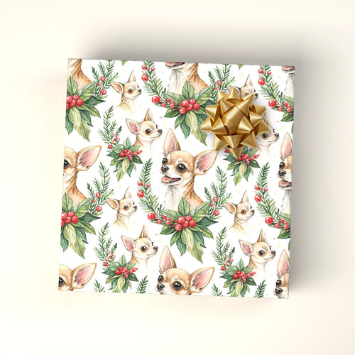 Chihuahuas