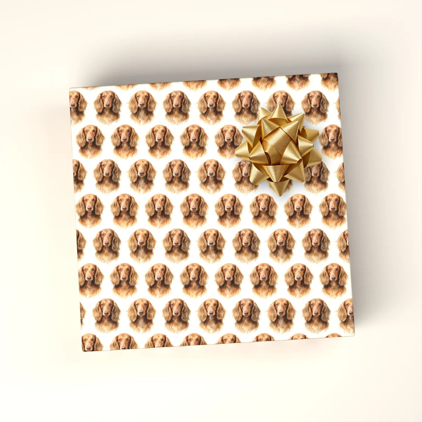 Dachshund Portrait Wrapping Paper — wrapped gift presentation