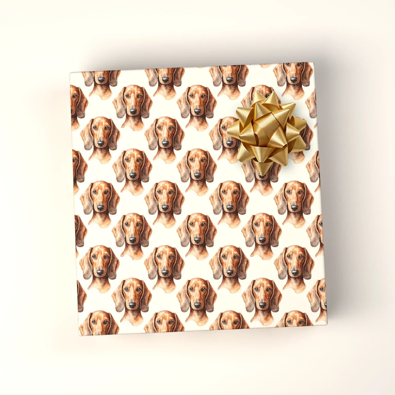 Dachshund Portrait Wrapping Paper — wrapped gift presentation