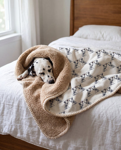 Dalmatian curled asleep in a Happy Hour Dalmatian sherpa blanket on a bed