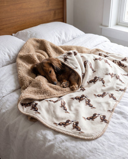 Long-Haired Dachshund curled asleep in a Happy Hour Long-Haired Dachshund sherpa blanket on a bed