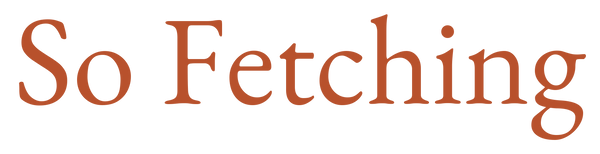 So Fetching — wordmark logo