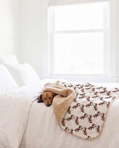 Dachshund curled asleep in a Happy Hour Dachshund sherpa blanket on a bed