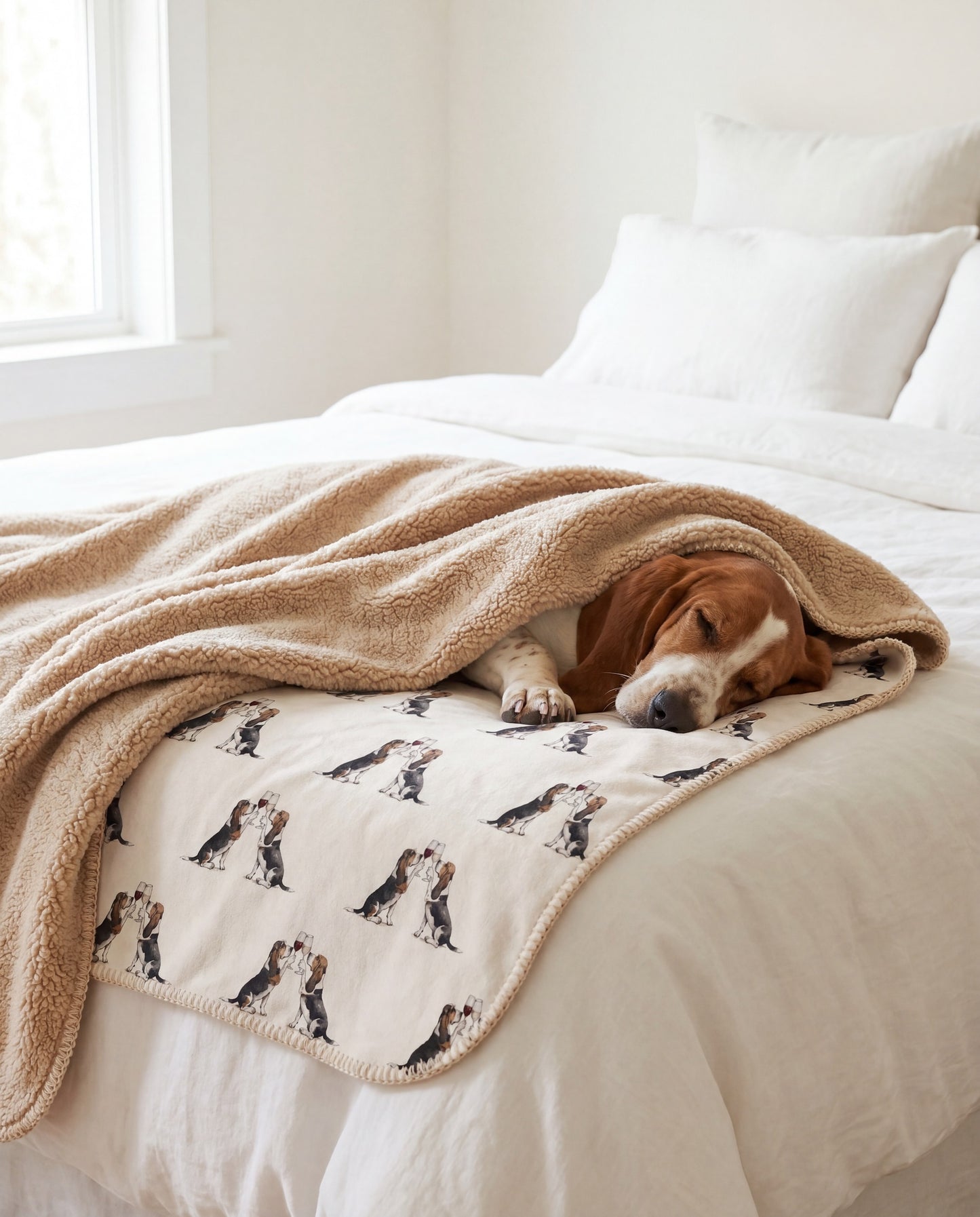 Basset Hound curled asleep in a Happy Hour Basset Hound sherpa blanket on a bed