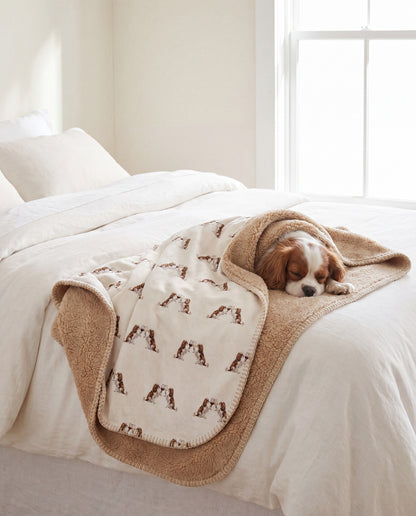 Cavalier King Charles Spaniel curled asleep in a Happy Hour Cavalier King Charles Spaniel sherpa blanket on a bed