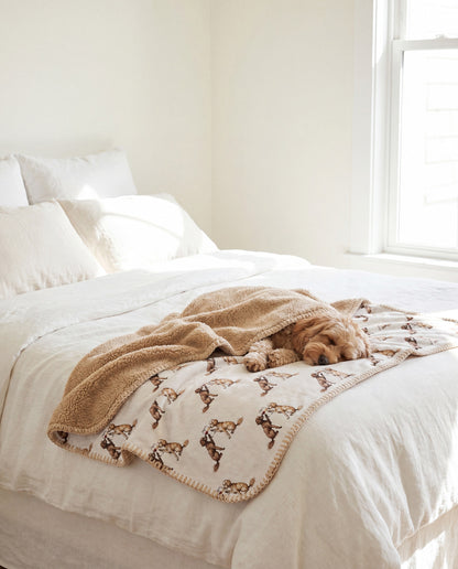 Cavapoo curled asleep in a Happy Hour Cavapoo sherpa blanket on a bed