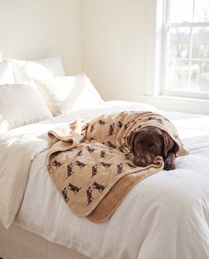 Chocolate Labrador Retriever curled asleep in a Happy Hour Chocolate Labrador Retriever sherpa blanket on a bed