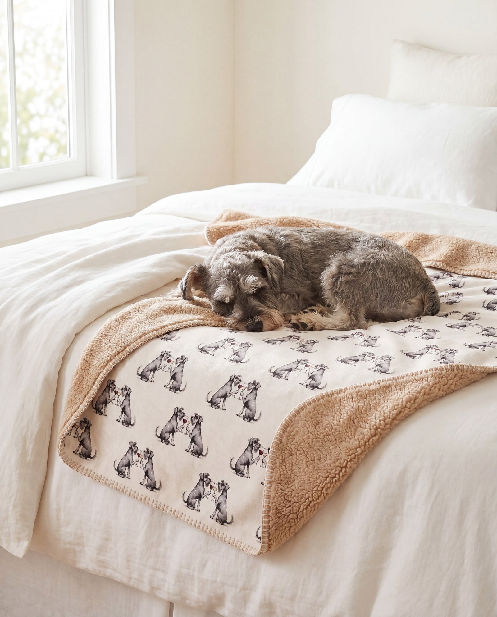 Miniature Schnauzer gifts