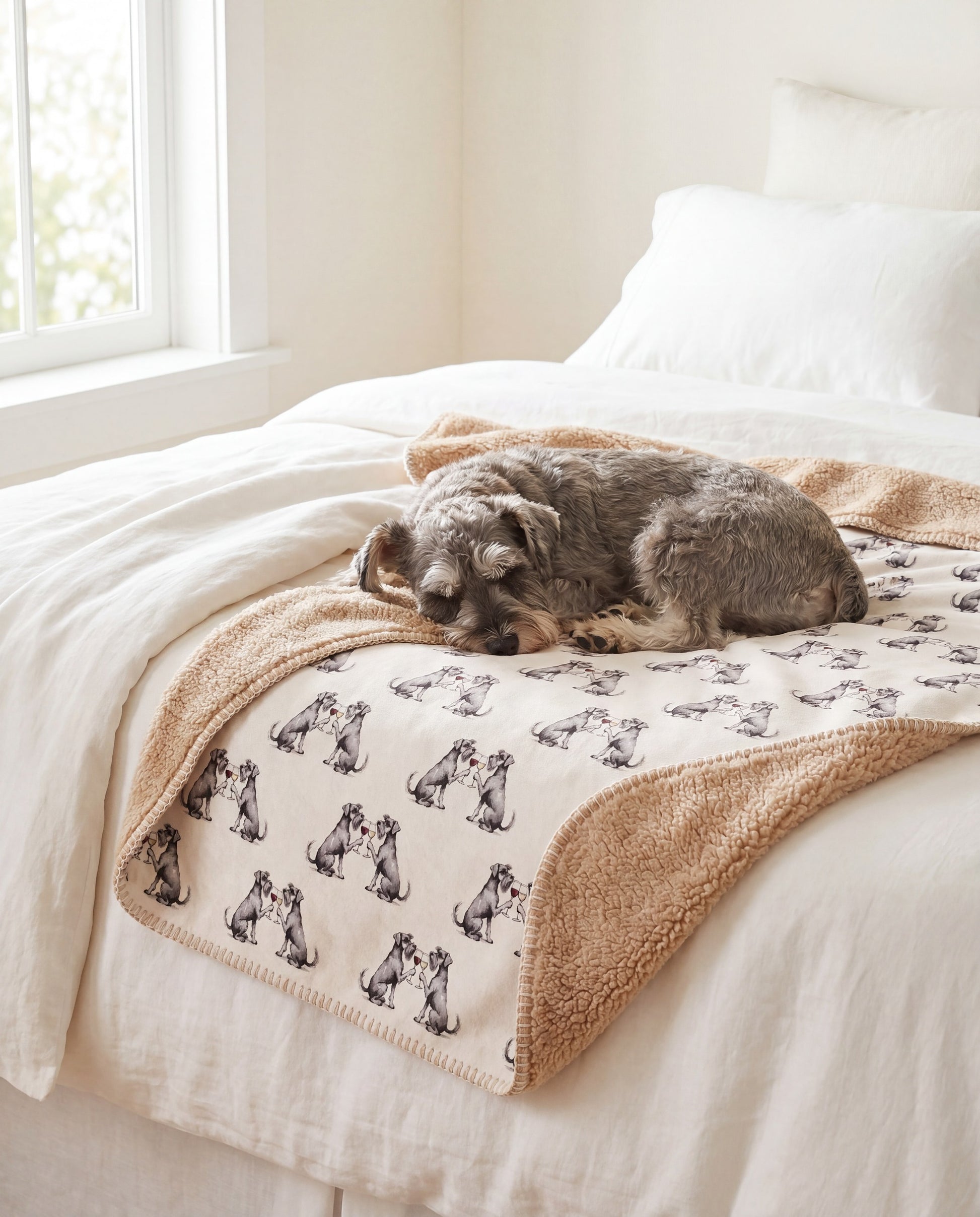 Miniature Schnauzer curled asleep in a Happy Hour Miniature Schnauzer sherpa blanket on a bed