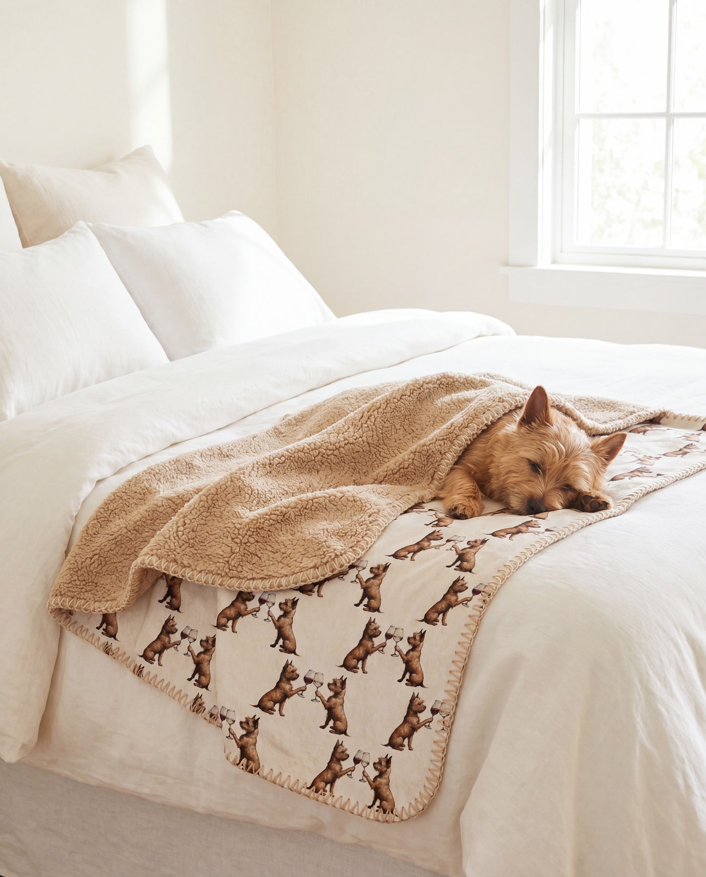 Norwich Terrier curled asleep in a Happy Hour Norwich Terrier sherpa blanket on a bed