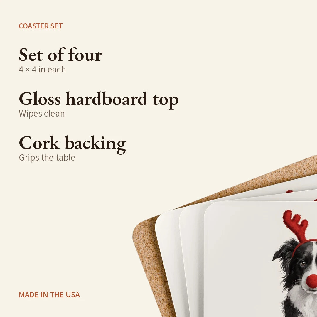 Reindog Border Collie Coaster Set — what you get