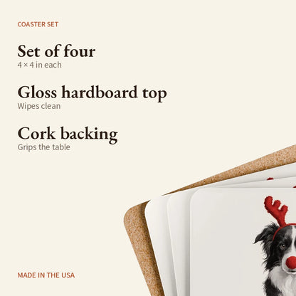 Reindog Border Collie Coaster Set — what you get