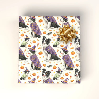 Witch Better Have My Treats: Border Collie Halloween Wrapping Paper — wrapped gift presentation